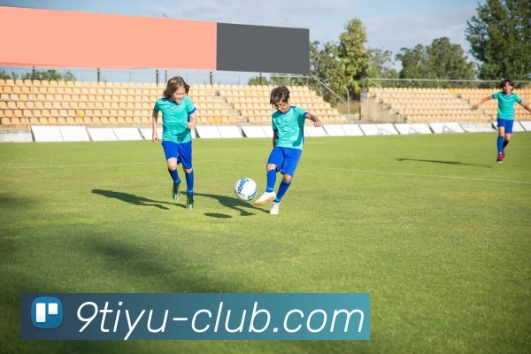 九体育俱乐部平台生态图